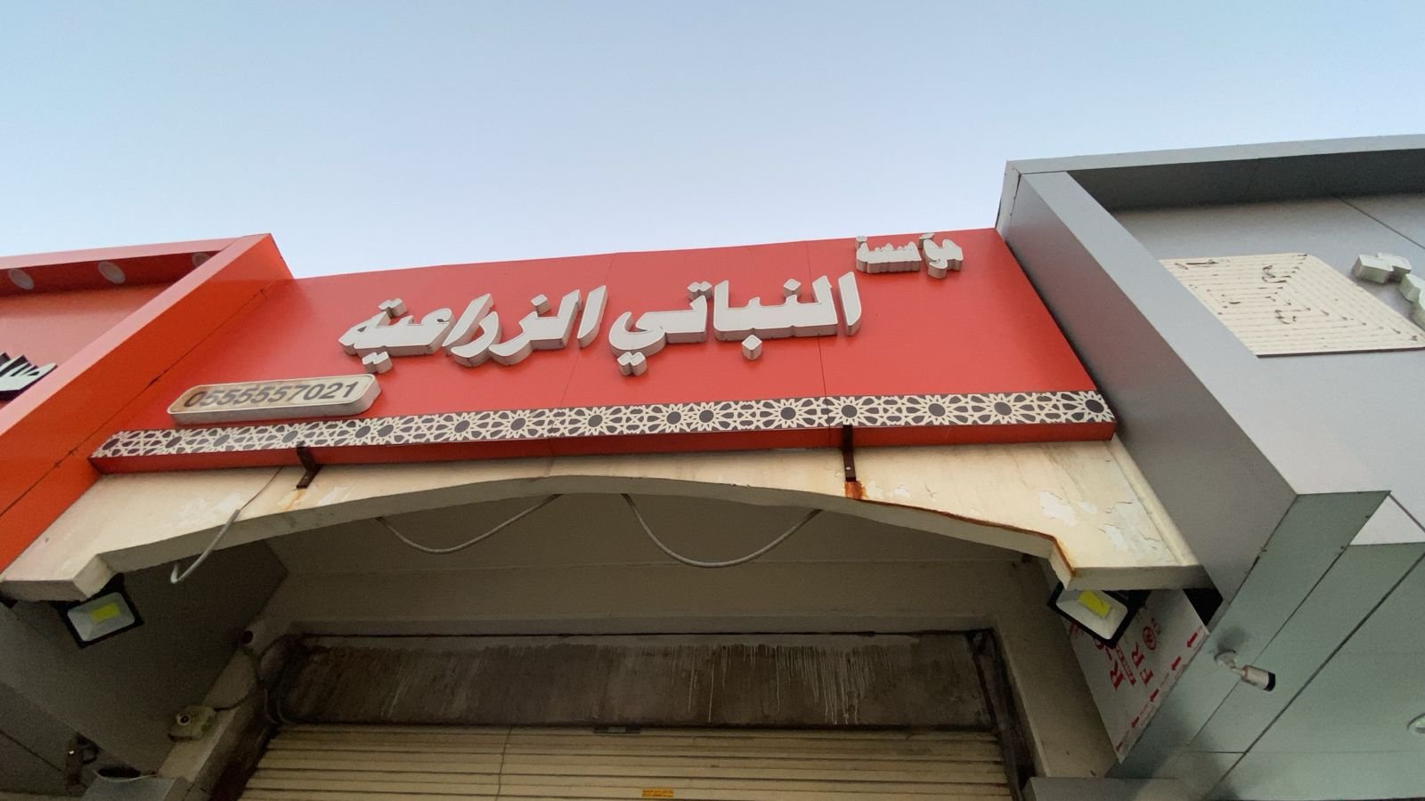 النباتي